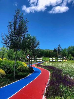 Bom preço Pista de corrida atlética retangular com resistência ao desbotamento para exercícios ao ar livre em linha