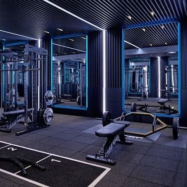 Bom preço Revestimento de borracha Mat Black SBR do GYM interno com superfície de EPDM Flecked em linha
