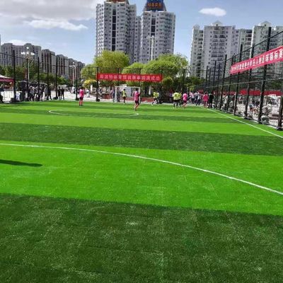 Grama artificial sintética material dos PP do PE para o treinamento da escola do futebol
