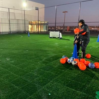 Bom preço Anti grama artificial antienvelhecimento UV 45mm, × sintético 50cm da grama 50cm dos esportes em linha