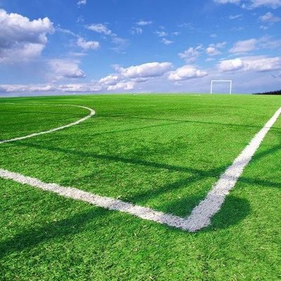 Bom preço UV da grama artificial sintética do campo de futebol anti para ajardinar o ODM do OEM da decoração em linha