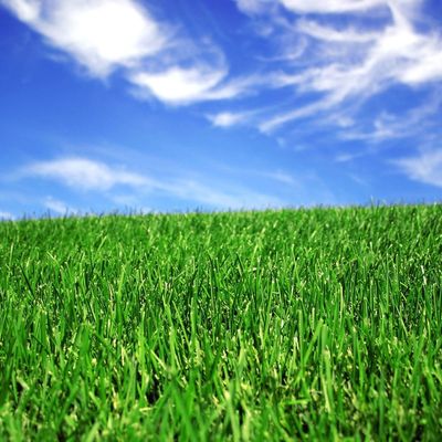 Bom preço grama artificial sintética ajardinando de 50mm para a corte do futebol em linha