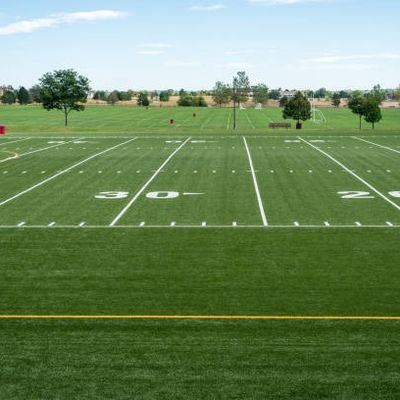 Bom preço × 4m de 25m pela grama artificial do futebol do rolo, escura - grama sintética verde do campo de futebol em linha