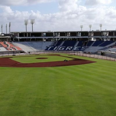 Bom preço Ponta da instalação do assoalho acima do estádio plástico que assenta a anti prova de fogo UV antienvelhecimento em linha