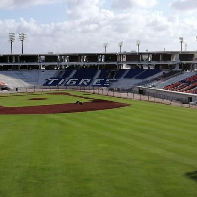 Bom preço Material HDPE Assentos esportivos para estádios 5 anos - W 430 mm * D 600 mm * H 835 mm em linha