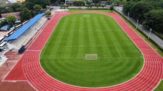 Bom preço Pistas de corrida atlética de borracha de baixa manutenção para centros de fitness em linha