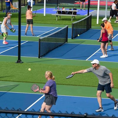 Bom preço Campo de pickleball personalizável com proteção UV de 8 anos em linha